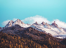 开云体育平台：引领新一代体育娱乐体验