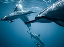 开云app下载入口-星空体育app下载：让夜空也成为你的健身教练